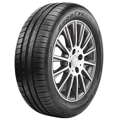 205/55R17 91V GOODYEAR EFFICIENTGRIP™ PERFORMANCE
